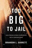 eBook (epub) Too Big to Jail de Brandon L. Garrett