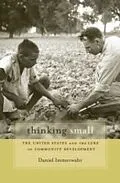 E-Book (epub) Thinking Small von Daniel Immerwahr
