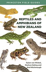 Couverture cartonnée Reptiles and Amphibians of New Zealand de Dylan Van Winkel, Marleen Baling, Rod Hitchmough