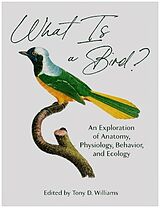 Fester Einband What Is a Bird? von Tony D. Williams