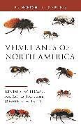 Couverture cartonnée Velvet Ants of North America de Kevin Williams, Aaron D. Pan, Joseph S. Wilson