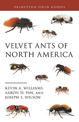Couverture cartonnée Velvet Ants of North America de Kevin Williams, Aaron D. Pan, Joseph S. Wilson