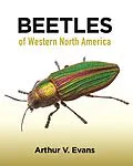E-Book (epub) Beetles of Western North America von Arthur V. Evans