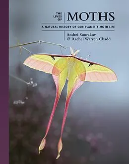 E-Book (pdf) The Lives of Moths von Andrei Sourakov, Rachel Warren Chadd