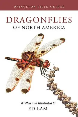 E-Book (pdf) Dragonflies of North America von Ed Lam
