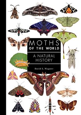 Livre Relié Moths of the World de David Wagner