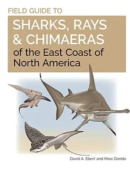 E-Book (pdf) Field Guide to Sharks, Rays and Chimaeras of the East Coast of North America von David A. Ebert, Marc Dando