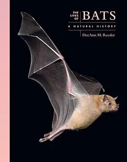 E-Book (epub) The Lives of Bats von Deeann M. Reeder