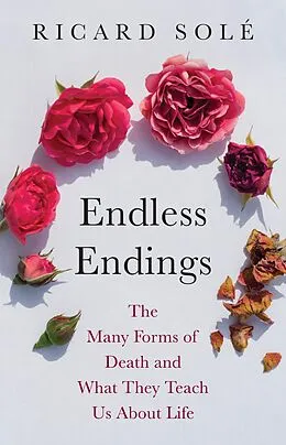 E-Book (epub) Endless Endings von Ricard Solé