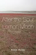 E-Book (epub) After the Sour Lemon Moon von Denise O Parsons