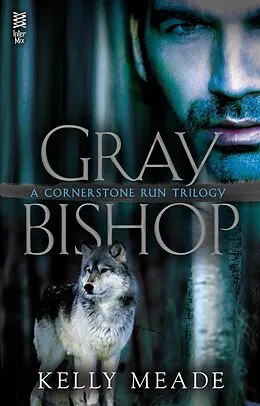 E-Book (epub) Gray Bishop von Kelly Meade