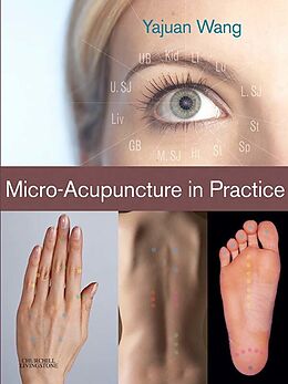 eBook (pdf) Micro-Acupuncture in Practice de Yajuan Wang