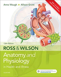 E-Book (epub) Ross & Wilson Anatomy and Physiology in Health and Illness von Anne Waugh, Allison Grant