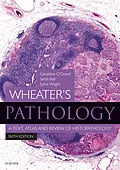 E-Book (epub) Wheater's Pathology: A Text, Atlas and Review of Histopathology E-Book von Geraldine O'Dowd, Sarah Bell, Sylvia Wright