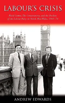 E-Book (pdf) Labour's Crisis von Andrew Edwards