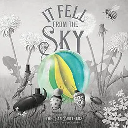 E-Book (epub) It Fell From The Sky von Eric Fan