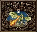 E-Book (pdf) A Natural History of Dragons von Emily Hawkins