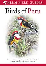 Kartonierter Einband Field Guide to Birds of Peru von Schulenberg Thomas S., Lane Daniel F., Stotz Douglas F.