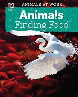 E-Book (pdf) Animals Finding Food von Sean Connolly