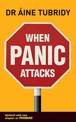 E-Book (epub) When Panic Attacks von Áine Tubridy