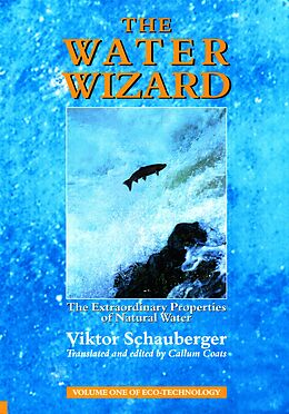 eBook (epub) The Water Wizard - The Extraordinary Properties of Natural Water de Viktor Schauberger