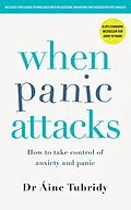E-Book (epub) When Panic Attacks von Áine Tubridy