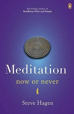E-Book (epub) Meditation Now or Never von Steve Hagen
