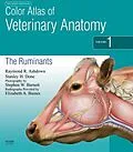 E-Book (pdf) Color Atlas of Veterinary Anatomy, Volume 1, The Ruminants E-Book von Raymond R. Ashdown BVSc MRCVS, BVetMed Done BA, MSc Barnett BA