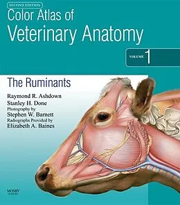 E-Book (pdf) Color Atlas of Veterinary Anatomy, Volume 1, The Ruminants E-Book von Raymond R. Ashdown BVSc MRCVS, BVetMed Done BA, MSc Barnett BA