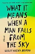 E-Book (epub) What It Means When a Man Falls from the Sky von Lesley Nneka Arimah