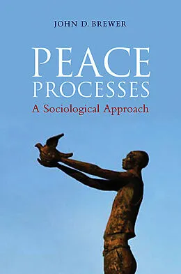 E-Book (pdf) Peace Processes von John D. Brewer