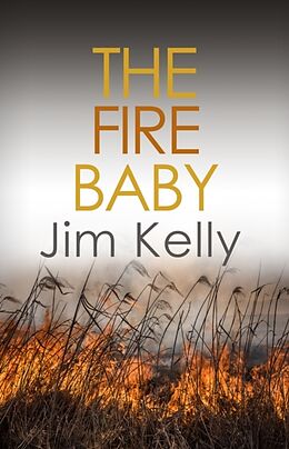 Kartonierter Einband The Fire Baby von Jim (Author) Kelly