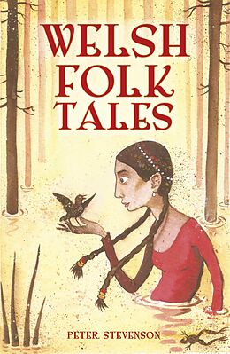 eBook (epub) Welsh Folk Tales de Peter Stevenson