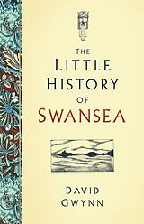 eBook (epub) The Little History of Swansea de David Gwynn