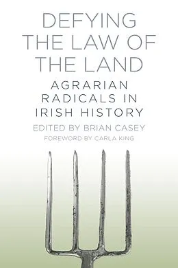 E-Book (epub) Defying the Law of the Land von Brian Casey