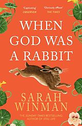 Kartonierter Einband When God Was a Rabbit von Sarah Winman