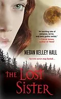 E-Book (epub) The Lost Sister von Megan Kelley Hall