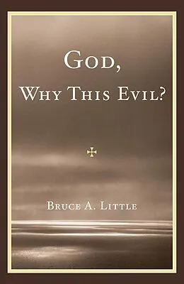 E-Book (epub) God, Why This Evil? von Bruce A. Little