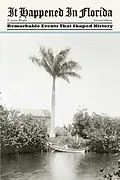 E-Book (epub) It Happened in Florida von E. Lynne Wright