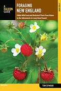 E-Book (epub) Foraging New England von Tom Seymour