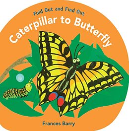 Fester Einband Caterpillar to Butterfly: Fold Out and Find Out von Frances Barry, Frances Barry
