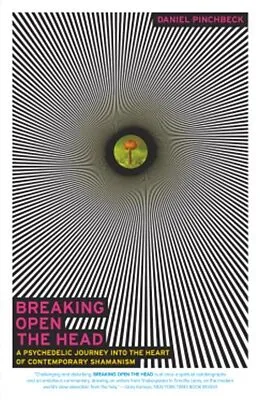 E-Book (epub) Breaking Open the Head von Daniel Pinchbeck