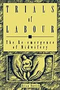 E-Book (pdf) Trials of Labour von Brian Burtch