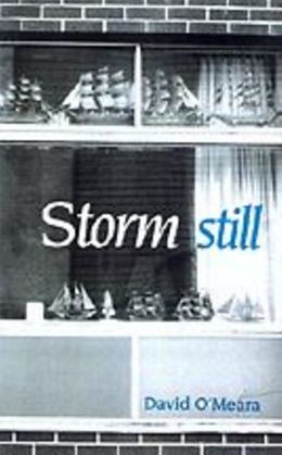 E-Book (pdf) Storm Still von David O'Meara