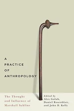 E-Book (pdf) Practice of Anthropology von Alex Golub, Daniel Rosenblatt, John D. Kelly