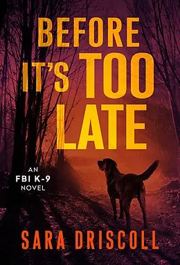 E-Book (epub) Before It's Too Late von Sara Driscoll