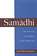 E-Book (pdf) Samadhi von Stuart Ray Sarbacker