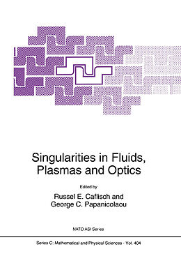 Fester Einband Singularities in Fluids, Plasmas and Optics von 
