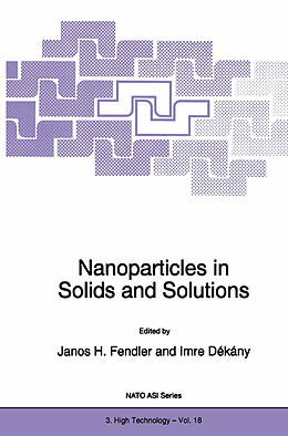 Fester Einband Nanoparticles in Solids and Solutions von Fendler, North Atlantic Treaty Organization, NATO Advanced Research Workshop on Nanop