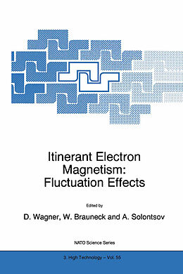 Kartonierter Einband Itinerant Electron Magnetism: Fluctuation Effects von 